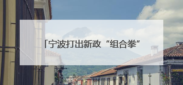 宁波打出新政“组合拳”，加码人形机器人产业
