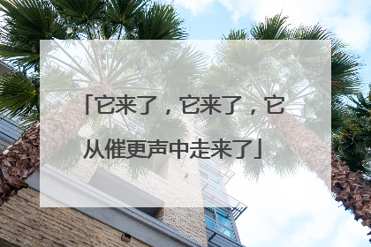 它来了，它来了，它从催更声中走来了