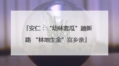 安仁：“幼林套瓜”趟新路 “林地生金”富乡亲