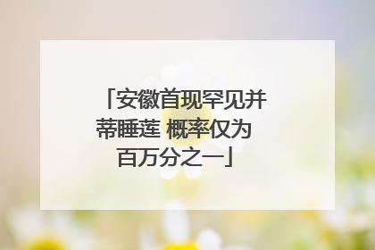安徽首现罕见并蒂睡莲 概率仅为百万分之一
