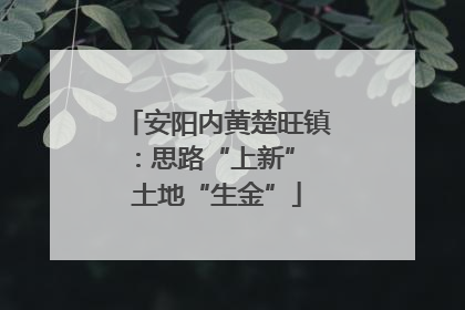 安阳内黄楚旺镇：思路“上新” 土地“生金”