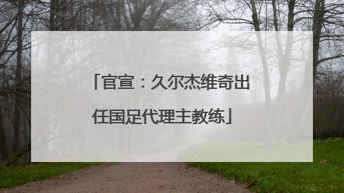 官宣：久尔杰维奇出任国足代理主教练