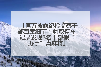 官方披露纪检监察干部查案细节：调取停车记录发现3名干部假“办事”真麻将