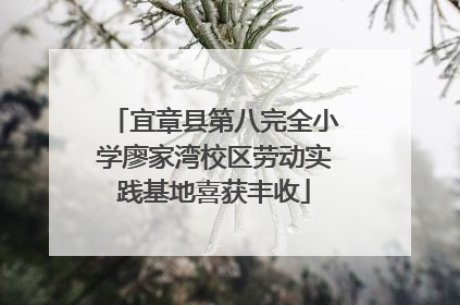 宜章县第八完全小学廖家湾校区劳动实践基地喜获丰收