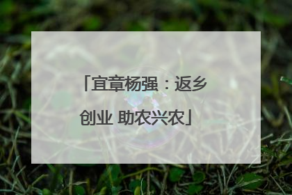 宜章杨强：返乡创业 助农兴农