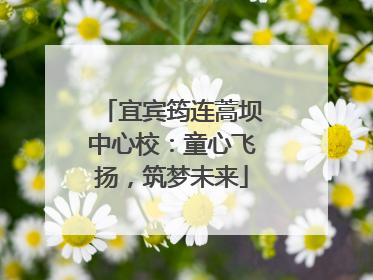 宜宾筠连蒿坝中心校：童心飞扬，筑梦未来