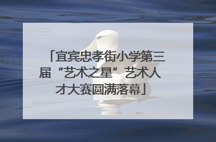 宜宾忠孝街小学第三届“艺术之星”艺术人才大赛圆满落幕