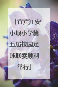 宜宾江安小坝小学第五届校园足球联赛顺利举行