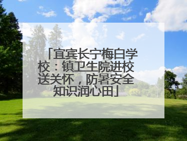宜宾长宁梅白学校：镇卫生院进校送关怀，防暑安全知识润心田