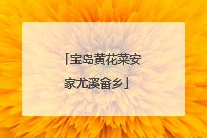宝岛黄花菜安家尤溪畲乡