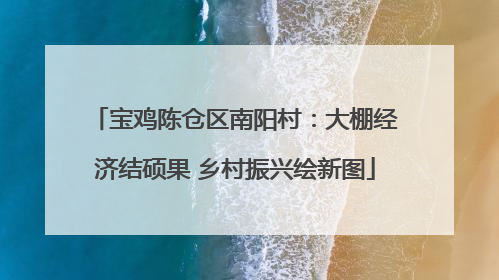 宝鸡陈仓区南阳村：大棚经济结硕果 乡村振兴绘新图