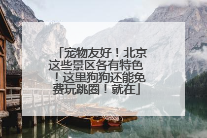 宠物友好！北京这些景区各有特色！这里狗狗还能免费玩跳圈！就在