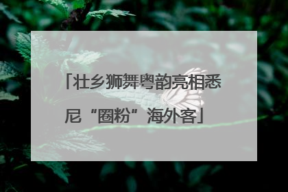 壮乡狮舞粤韵亮相悉尼“圈粉”海外客