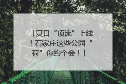 夏日“顶流”上线！石家庄这些公园“荷”你约个会！