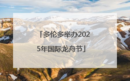 多伦多举办2025年国际龙舟节