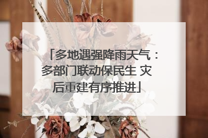 多地遇强降雨天气：多部门联动保民生 灾后重建有序推进