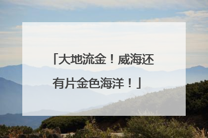 大地流金！威海还有片金色海洋！