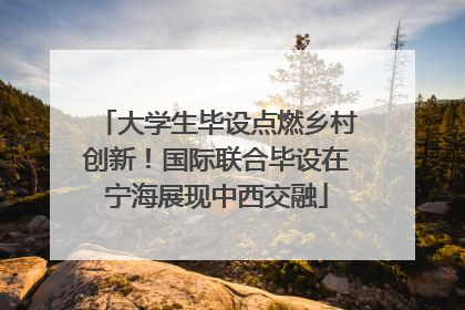 大学生毕设点燃乡村创新！国际联合毕设在宁海展现中西交融