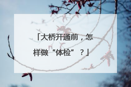 大桥开通前，怎样做“体检”？
