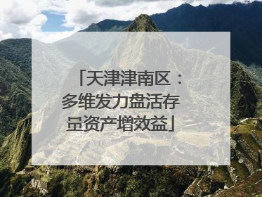 天津津南区：多维发力盘活存量资产增效益
