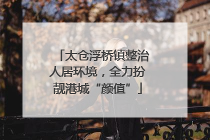 太仓浮桥镇整治人居环境，全力扮靓港城“颜值”