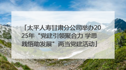 太平人寿甘肃分公司举办2025年“党建引领聚合力 学思践悟助发展”两当党建活动