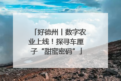 好德州丨数字农业上线！探寻车厘子“甜蜜密码”