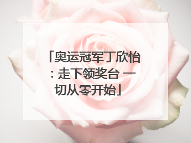 奥运冠军丁欣怡：走下领奖台 一切从零开始