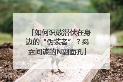 如何识破潜伏在身边的“伪装者”？揭露间谍的N副面孔