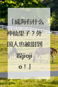 威海有什么神仙果子？外国人也被甜到跺jiojio！