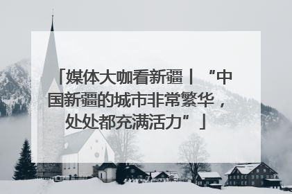 媒体大咖看新疆丨“中国新疆的城市非常繁华，处处都充满活力”