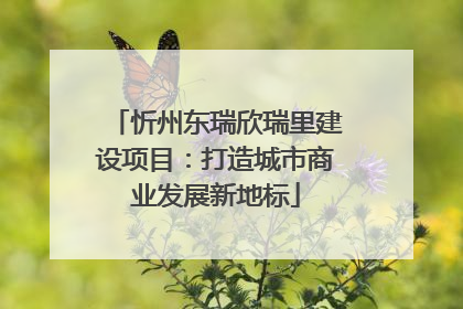 忻州东瑞欣瑞里建设项目：打造城市商业发展新地标