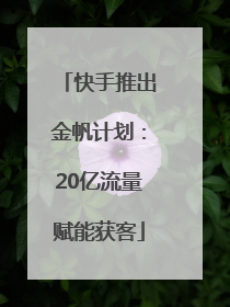 快手推出金帆计划：20亿流量赋能获客