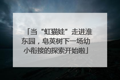 当“虹猫娃”走进淮东园，皂荚树下一场幼小衔接的探索开始啦