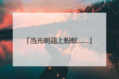 当光明遇上蚂蚁……