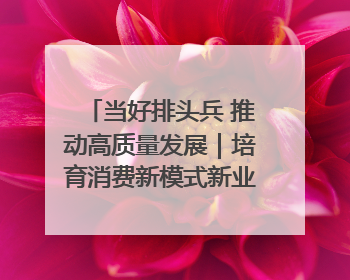 当好排头兵 推动高质量发展｜培育消费新模式新业态 释放经济增长新动能