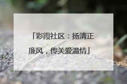 彩霞社区：扬清正廉风，传关爱温情
