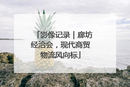 影像记录｜廊坊经洽会，现代商贸物流风向标