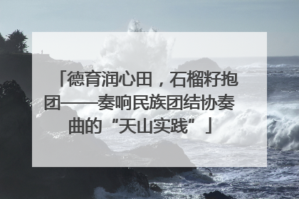 德育润心田，石榴籽抱团——奏响民族团结协奏曲的“天山实践”