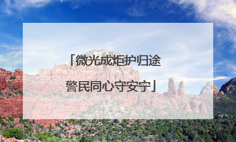 微光成炬护归途 警民同心守安宁