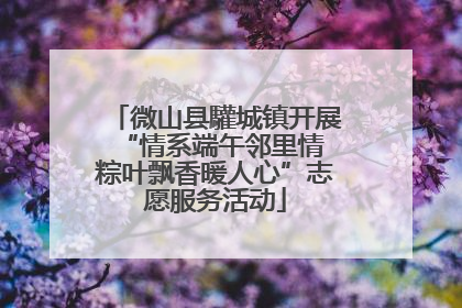 微山县驩城镇开展“情系端午邻里情 粽叶飘香暖人心”志愿服务活动