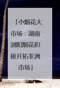 小烟花大市场：湖南浏阳烟花积极开拓非洲市场
