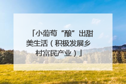 小葡萄“酿”出甜美生活（积极发展乡村富民产业）
