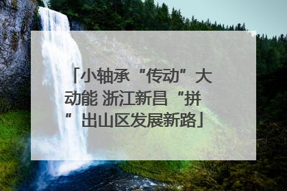 小轴承“传动”大动能 浙江新昌“拼”出山区发展新路