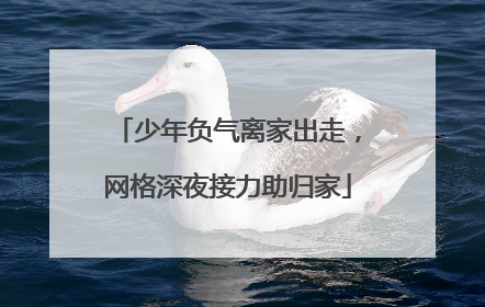 少年负气离家出走，网格深夜接力助归家