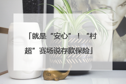 就是“安心”！“村超”赛场说存款保险