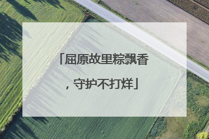 屈原故里粽飘香，守护不打烊