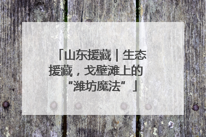 山东援藏｜生态援藏，戈壁滩上的“潍坊魔法”