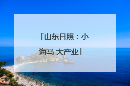 山东日照：小海马 大产业