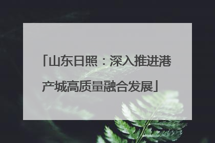 山东日照：深入推进港产城高质量融合发展